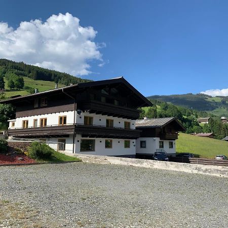 Glemm Lodge Apartments - Joker Card Im Sommer Inklusive Зальбах-Гінтерглемм Екстер'єр фото